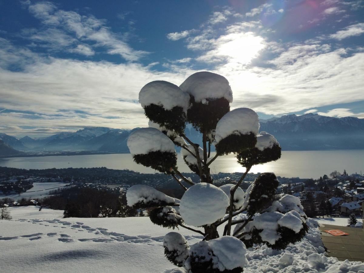 Appartement Moderne Avec Vue Panoramique A Jongny Proche De Montreux Exterior foto